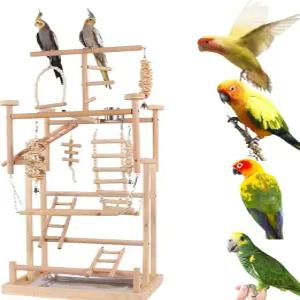 GOVNPJ 앵무새 놀이대 음식 컵 사다리 종 대형 나무 새 173 x 12 352 인치