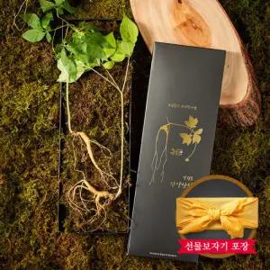 [명가천삼] 강원도 산양삼 선물세트 5~6년근 (5뿌리)