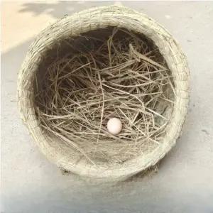 닭 산란통 닭둥지 바구니 병아리 산란장 알집 야외 밀짚