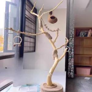 앵무새 횟대 나뭇가지 장난감 동물 스탠드 조류