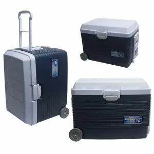 60리터아이스박스 1개 코스모스 바퀴형쿨러 휴대용아이스박스