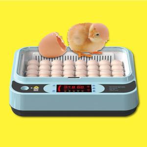 샤크팡 키우기 자동 달걀 계란 앵무새 부화기 병아리 오리 인큐베이터