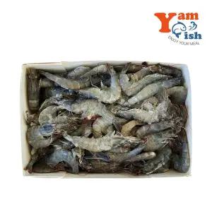 흰다리새우 2kg 40/50