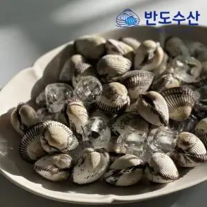 국내산 제철 벌교 새꼬막 중, 10kg, 1개