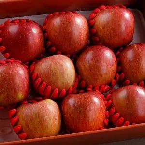 명품 고당도 사과 설 명절 선물세트 10과 대과 제수용 귀한분선물