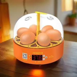 곰 부화기 병아리분양 병아리 부하기 계란 부화기 6구