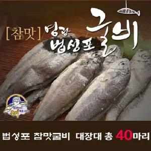 [NS홈쇼핑]영광법성포 햇 굴비 대장대 40미[35689898]