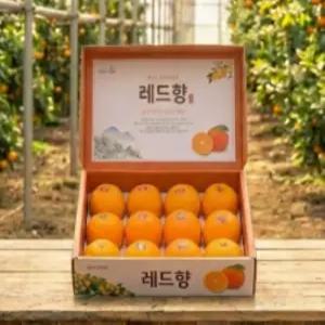 {설명절 큰행사} 제주 특품 레드향 선물세트3kg (비파괴당도선별)15브릭스이상