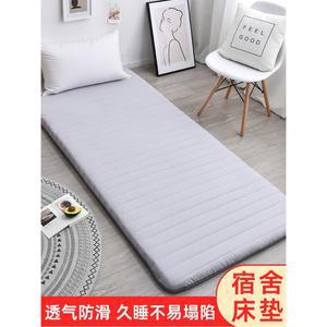 블루 인용 매트리스 5cm 원룸 라텍스 60x120cm 매트 수면 토퍼 기숙사 싱글 1인용 스타일 키높이 침대 쿠션