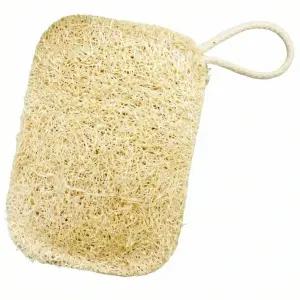 식물 2중 수세미 주방 설거지