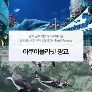 아쿠아플라넷 이용권 (광교점) 코스트코 코와샵2601