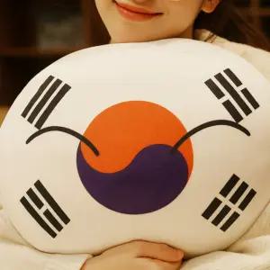 뽈록한 태극기 배받이쿠션 책쿠션 독서쿠션 사각 중형 30cm