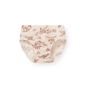 [롯데백화점]오르시떼 남아동 G324 디노라인베이지 브리프 OR25ABBRG324