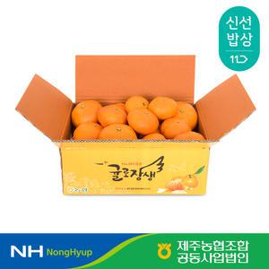 [제주농협] 귤로장생 레드향 2kg 소과(10-15입)