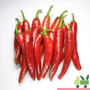 홍고추 5Kg (상)