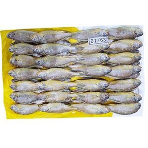 조은상사 냉동 참조기 61-63 3.6kg 1박스 62미내외 굴비 조기 냉동조기