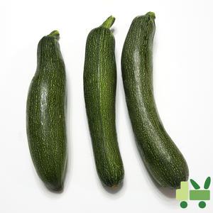 쥬키니 10Kg (보통)