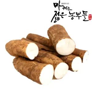 [알2]마 안동마 마캐는젊은농부들 부용농산 2kg 알뜰마 가정용 생마/산마/참마/안동마/크기혼합