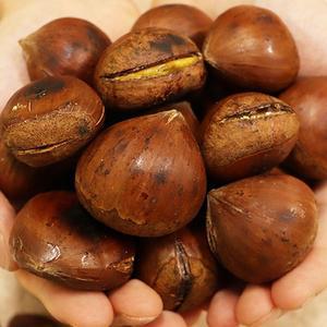 충남 공주 정안밤 칼집밤 대 4kg