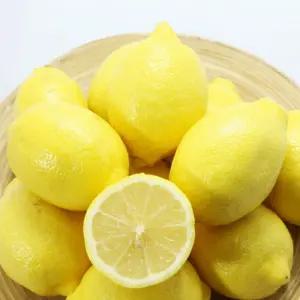 황금열매 상큼한 직수입 즙 주스 레몬 40과