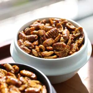 고단백 번데기 4kg 대용량 쫀득한 술안주 캠핑용 영양간식