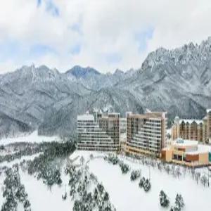 소노펠리체 델피노