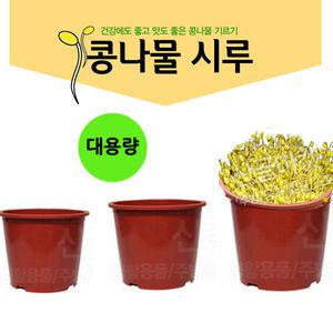 기본형시루  콩나물시루 새싹 재배기 플라스틱 화분 식당 업소용