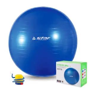 다이어트 짐볼 65cm