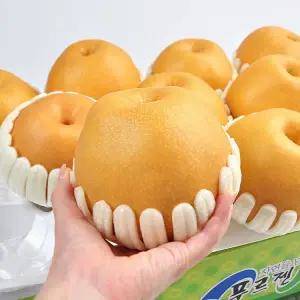 [롯데백화점]팜투맘 [팜투맘] 명절 나주신고배 선물세트 5kg(7-8과)