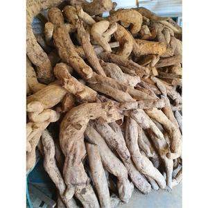 [황가네유니농장] 생칡 칡 암칡 수칡 알칡 국산 10kg