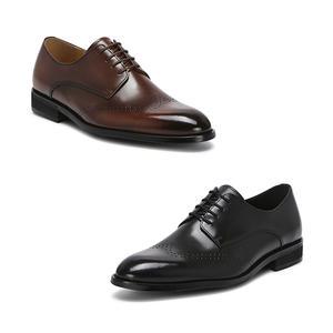 탠디본사 소가죽 옥스퍼드, HA23002 2color 택1 (3cm)