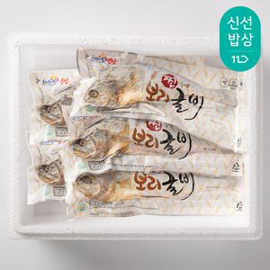 [대한민국농수산] 영광 법성포 찐 보리굴비 대 (28-30cm) x 5마리 선물세트 [일반]