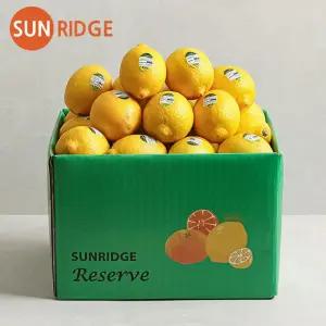 썬리지 직수입 최상급 레몬 중소과 중과 대과 20과