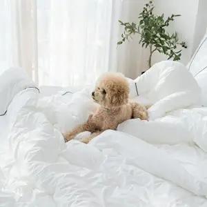 알러가드 호텔 침구세트SS (이불1+패드1+베개커버1)_WBF3524