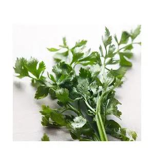 국내산 유기농 신선초 녹즙 샐러드용 2kg 주스용 쥬스용