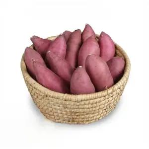 [해남미소] 선희네농장 25년산 비세척 꿀고구마 10kg