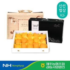 [제주농협] 귤로장생 프리미엄 한라봉 4.5kg 로얄과(18입내)+ 부직포가방 포함