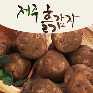 26년 수확 제주 구좌 감자 5kg(왕특) 제주감자