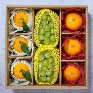 혼합 과일 세트 모음 알찬 한라봉/레드향/샤인머스켓 세트 설날 명절