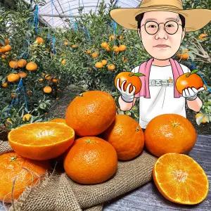 제주귤왕 레드향 혼합 가정 4.5kg