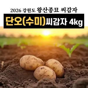 왕산종묘 강원도 단오(수미)씨감자 4kg 강원도 정품 햇감자 감자씨