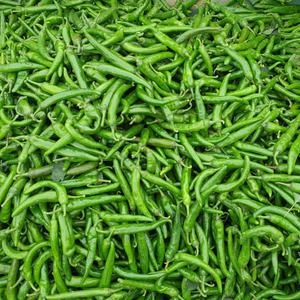 국내산 매운 청양고추 상급 5kg