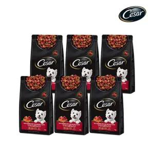 아트박스/시저 시저 연어와 최상급쇠고기 1KG 6개