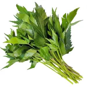 야채이야기 싱싱한 국내산 당귀 500g 당귀쌈 모듬쌈