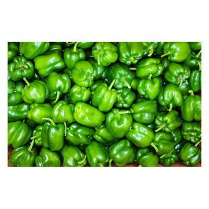 국내산 못난이피망 청피망 상 1kg