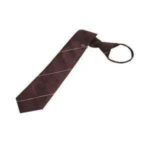 [BY파크랜드][오스틴리드]와인 체크 클래식 자동타이_A3NZ1347