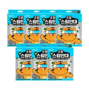 [30분 간의 눈 휴식]동국제약 굿잠 병풀파우더 스팀안대 10입 7박스