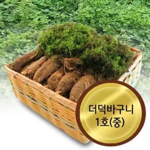 더덕 바구니 1호(1kg)더덕 더덕선물 더덕선물세트 명절선물 설선물 건강선물