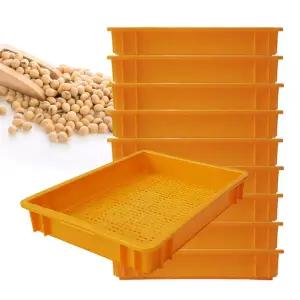 두부판 노랑 10개 보관 야채 과일 수납 p박스 상자 이사 이삿짐 플라스틱 과수원 운반 만능