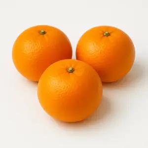 조생 감귤 10kg 2L